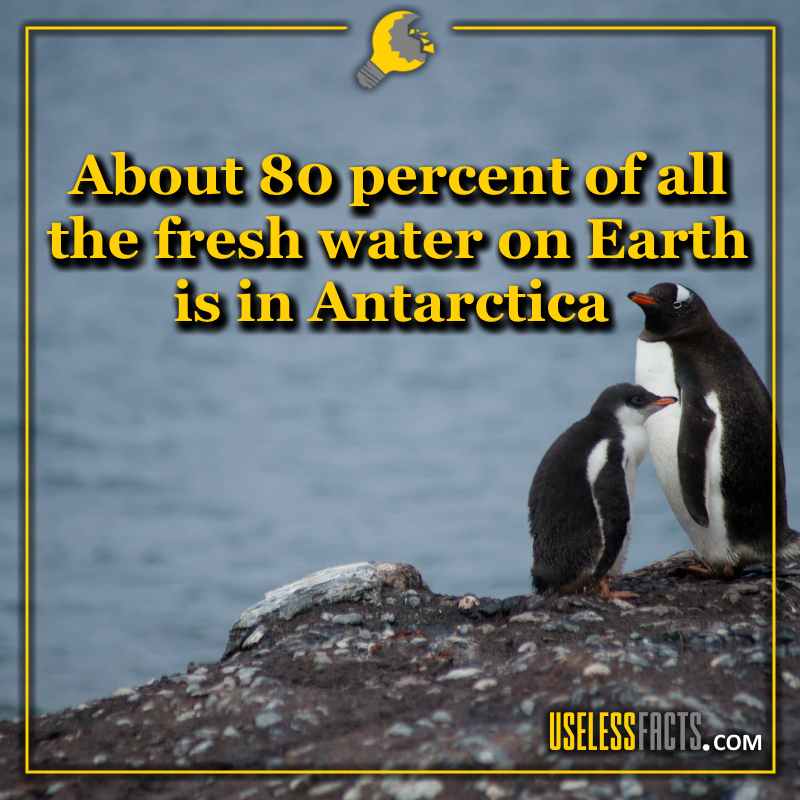 useless-fact-263-useless-facts