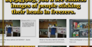 If you Google image search 241543903, you’ll see endless images of people sticking their heads in freezers. 